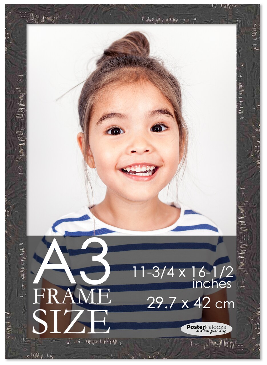 Photo Size Shabby Chic Black Picture Frame - UV Acrylic, Foam Board Backing, Hanging Hardware